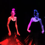Flamenco thumbnail 2