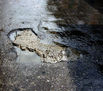 bache