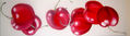 CEREZAS