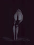 desnudo
