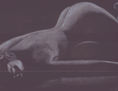 desnudo