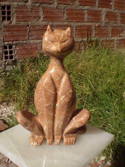 GATO NOBLE
