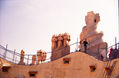 la terraza de la pedrera