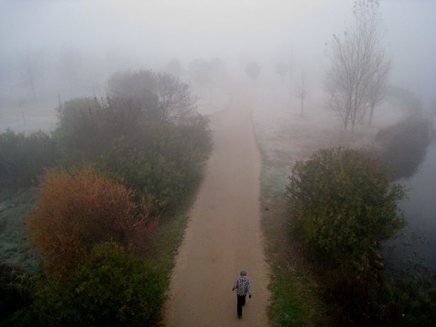 paseando hacia la niebla 