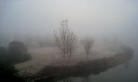 una mañana de niebla