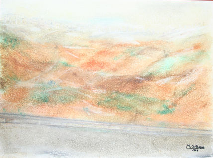 Campos de la mancha