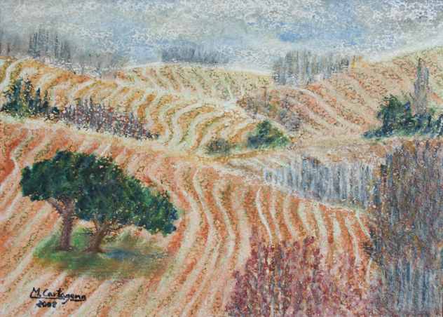 CAMPOS ARADOS