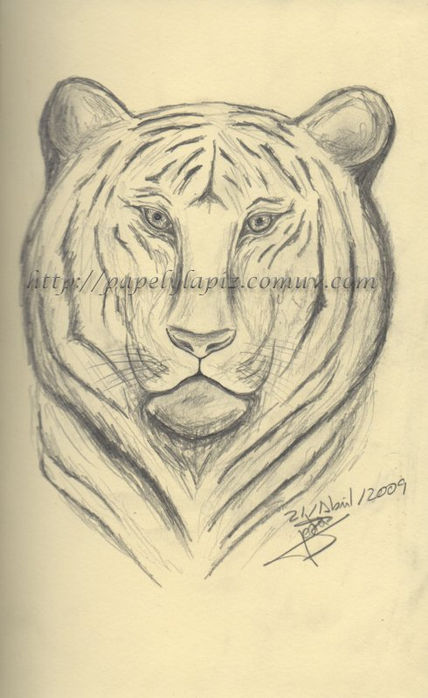 Tigre