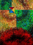 Alquimia del color