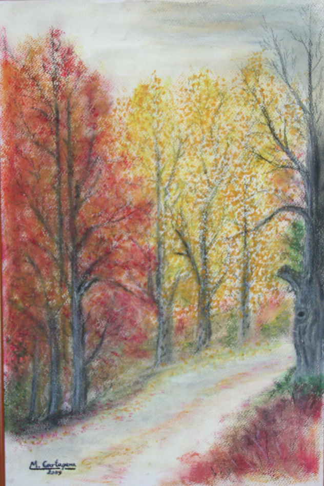 OTOÑO..CAMINO AL INVIERNO