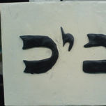 2009 thumbnail 2