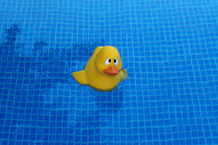 un Pato