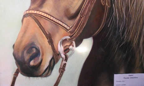 "Animales"