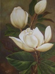 Magnolia y botones Oil Canvas