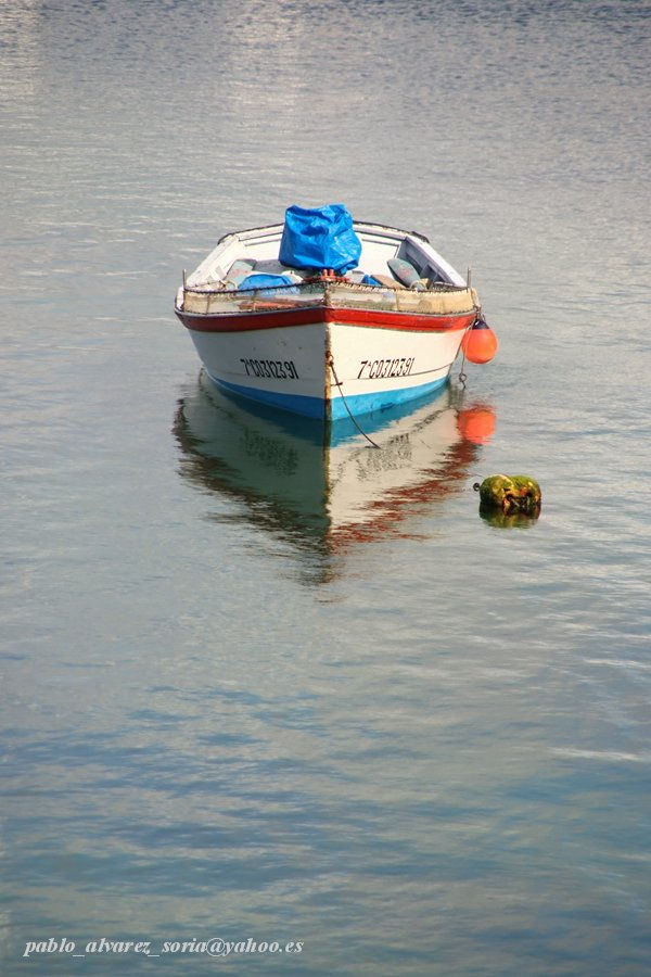BARCA Y REFLEJOS