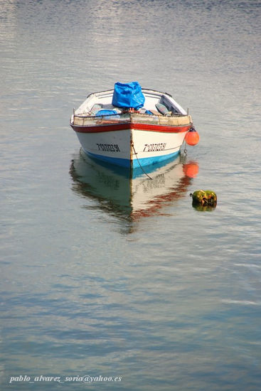 BARCA Y REFLEJOS 