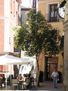 El peine