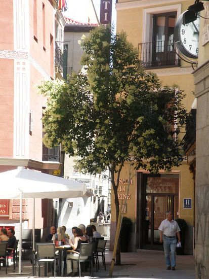 El peine 