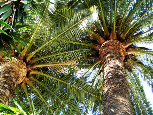 LA NATURALEZA