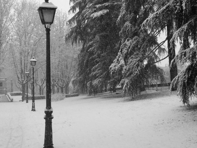 Nieva 