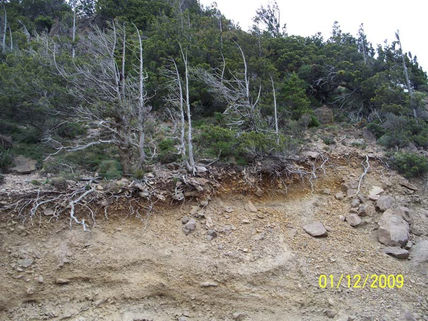 Paisaje
