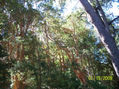 paisaje