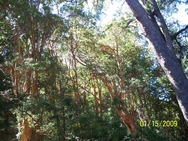 paisaje