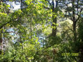 paisaje