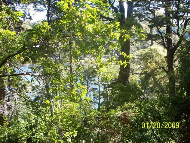 paisaje