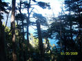 paisaje