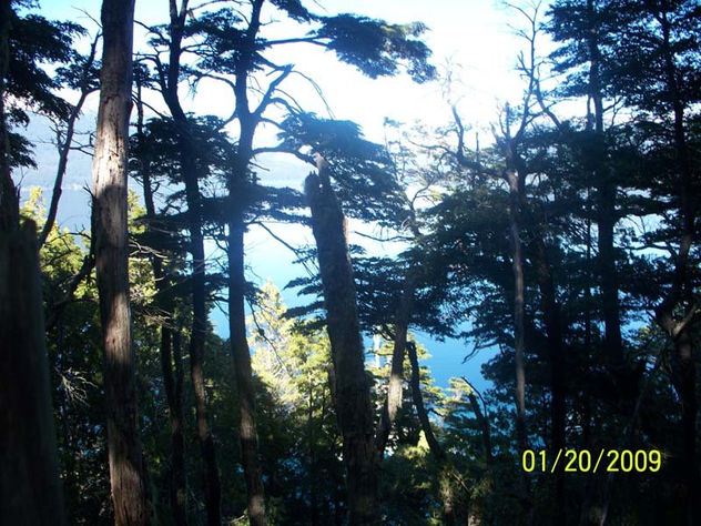 paisaje
