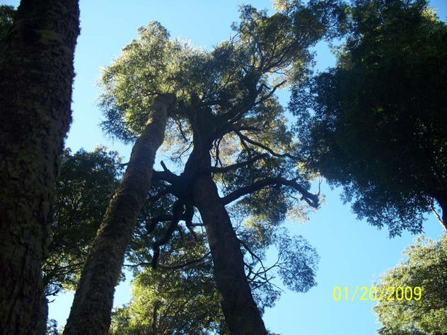 paisaje