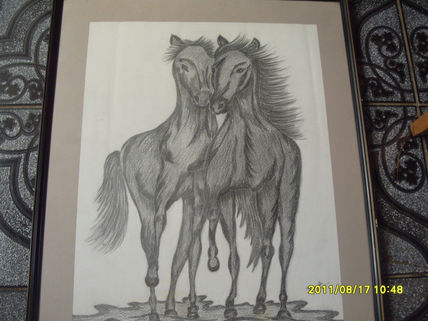 Parejas de caballos