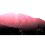 PALISSATGES thumbnail 2