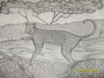 Leopardo