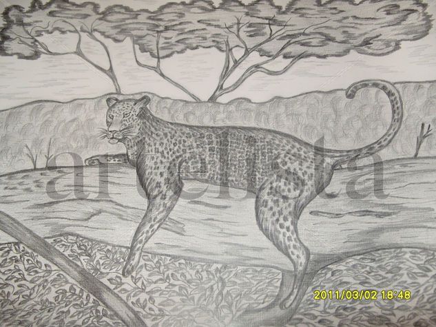 leopardo 