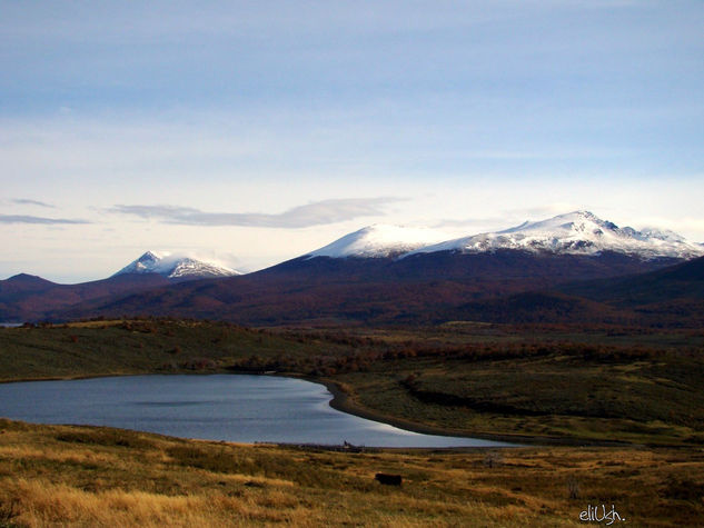 Patagonia Nature Color (Digital)