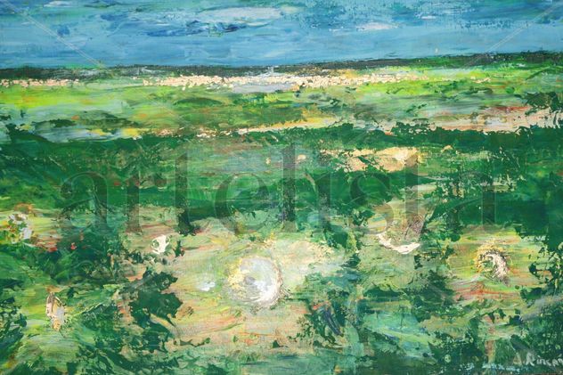 campo con girasoles a 120 por hora