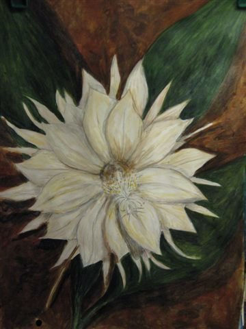 REINA DE LA NOCHE