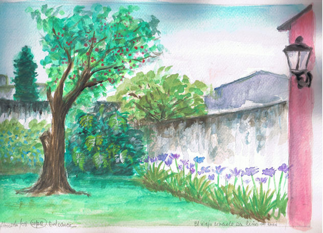 Patio trasero de mi casa con viejo ciruelo y agapantos