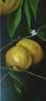 frutos