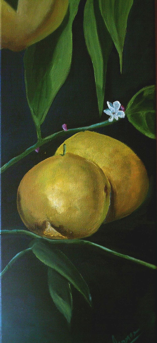 frutos