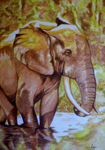 Elefante africano