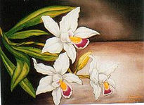 Orquideas