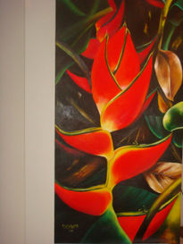 Heliconia