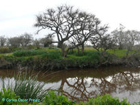 Arroyo el pescado 2