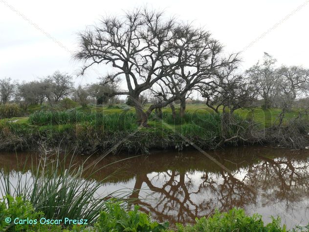 arroyo el pescado 2