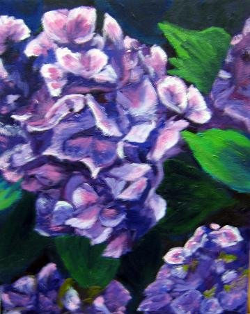 Flores