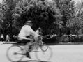 bicicletas 7