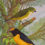 NATURALEZA thumbnail 2